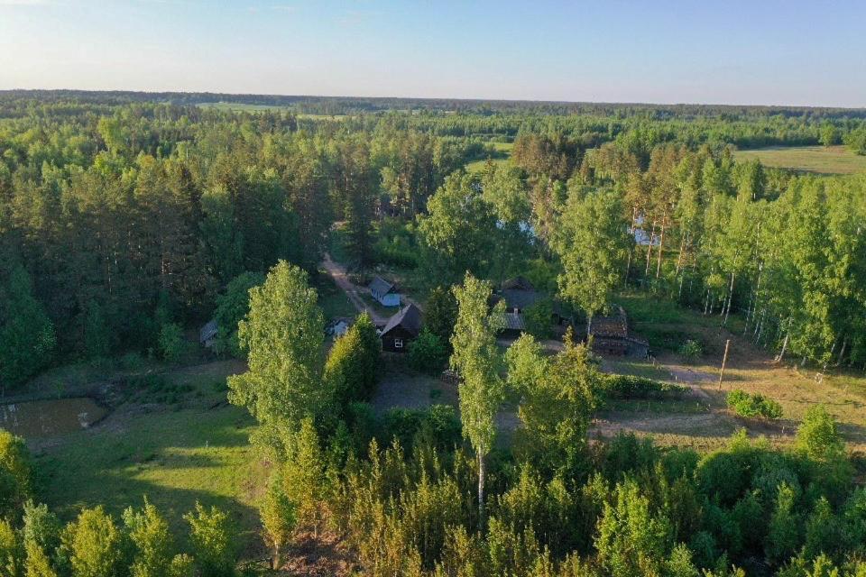 Private Farm Jakuzzi Sauna In The Forest Talsi Eksteriør bilde